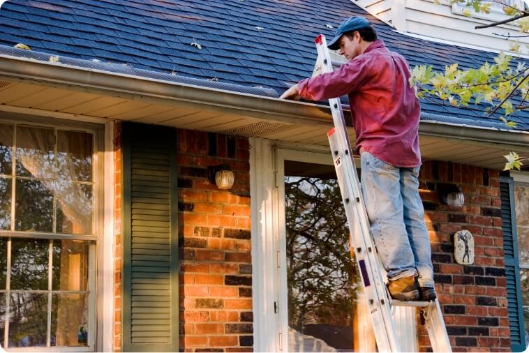 Professional Gutter Maintenance and Repair Services